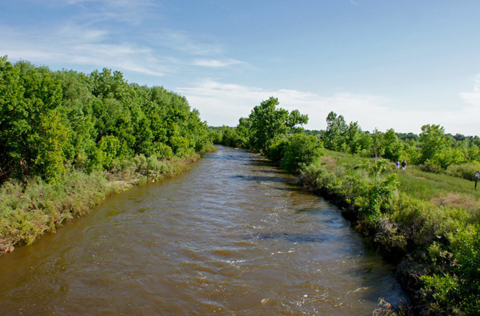 Poudre River flowing through shrubbery